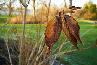 The minimum focus distance is a handy 24cm | 1/100 sec | f/5.6 | 24.0 mm | ISO 360<br /><a target="_blank" xhref="http://www.magezinepublishing.com/equipment/images/equipment/AFS-DX-Nikkor-1024mm-f3545G-ED-1187/highres/Nikon1024mm046_1326895649.jpg">High-Res</a>