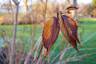 A minimum focusing distance of 38cm allows you to get reasonably close to your subject  | 1/100 sec | f/5.6 | 35.0 mm | ISO 360<br /><a target="_blank" xhref="http://www.magezinepublishing.com/equipment/images/equipment/AFS-DX-1870mm-f3545G-1005/highres/Nikon1870mm072_1326901289.jpg">High-Res</a>