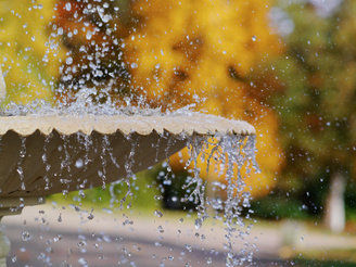 Nine rounded aperture blades help to produce pleasant out of focus blur | 1/1000 sec | f/2.8 | 75.0 mm | ISO 160