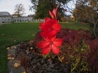 Close Focus | 1/125 sec | f/8 | 12.0 mm | ISO 320