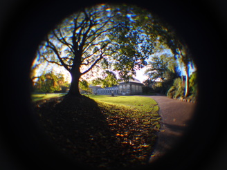 Botanical Gardens | 1/100 sec | f/0 | 0.0 mm | ISO 320