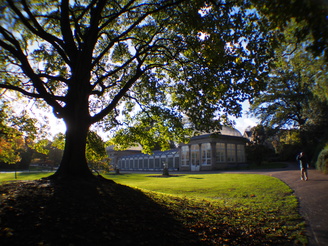 Botanical Gardens | 1/125 sec | f/8 | 12.0 mm | ISO 200