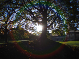 Lens Flare | 1/320 sec | f/8 | 12.0 mm | ISO 200